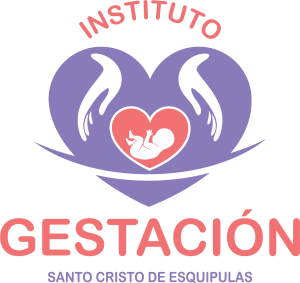 Plataforma virtual de aprendizaje